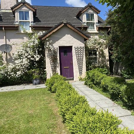 Orchard Cottage 丁格尔 外观 照片